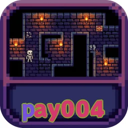 pay004